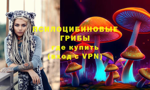 герыч Коряжма