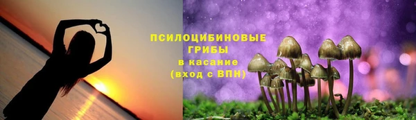 стафф Костерёво