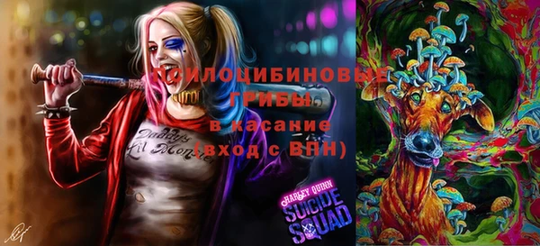 герыч Кодинск