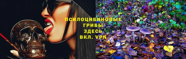 скорость Кинешма