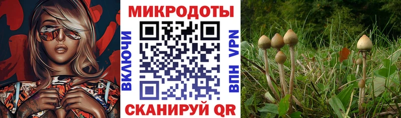 Галлюциногенные грибы мухоморы  Нижние Серги 
